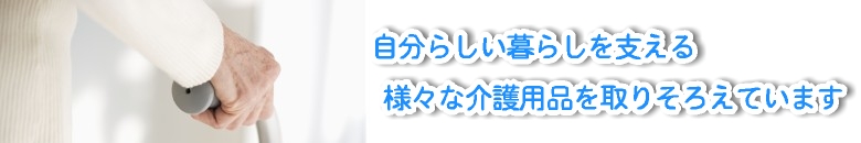 ���p�i�C���[�W